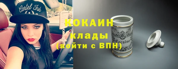 молекула духа Осинники