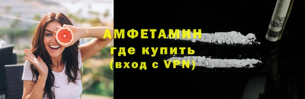 гашик Болотное