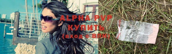 винт Осташков