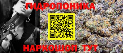 тгк Гусь-Хрустальный