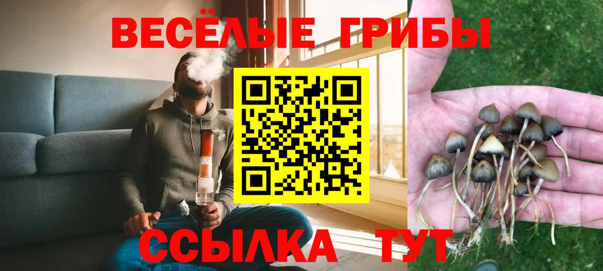 Галлюциногенные грибы Psilocybine cubensis  Вход с VPN  Арсеньев  Псилоцибиновые грибы Cubensis 