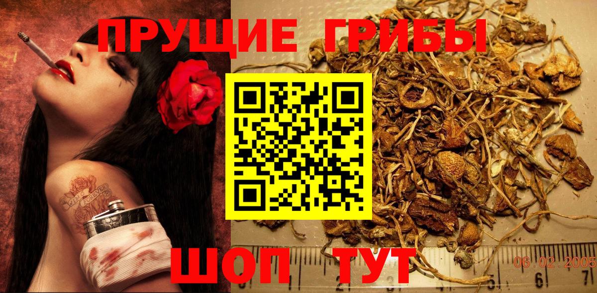 Псилоцибиновые грибы Арсеньев